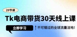 （9463期）Tk电商带货30天线上课，不可错过的全球流量洼地（29节课）-大源资源网