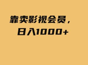 （9509期）靠卖影视会员，日入1000+-大源资源网