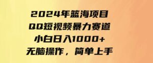 9532期）2024年篮海项目，QQ短视频暴力赛道，小白日入1000+，无脑操作，简单上手。-大源资源网