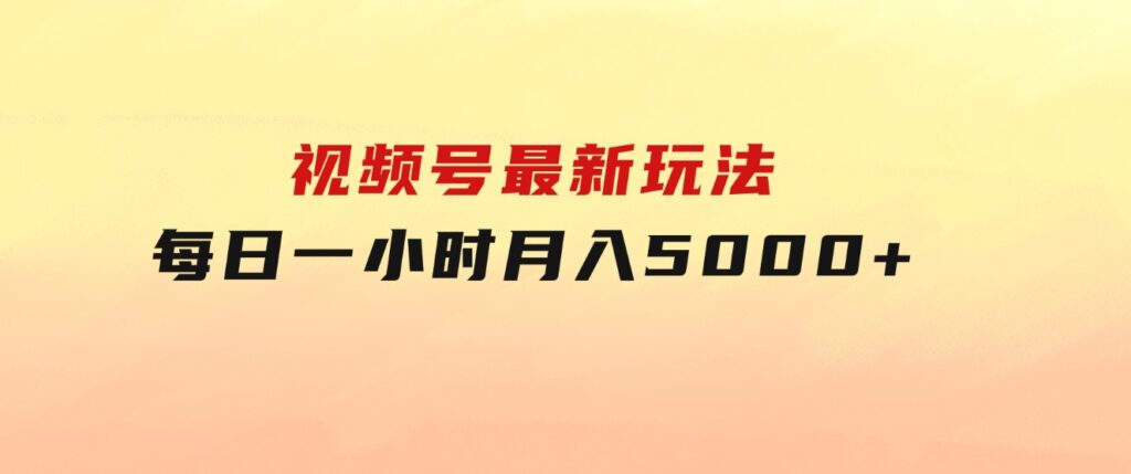 视频号最新玩法，每日一小时月入5000+-大源资源网