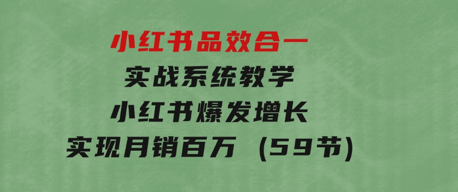 小红书品效合一实战系统教学：小红书爆发增长，实现月销百万(59节)-大源资源网