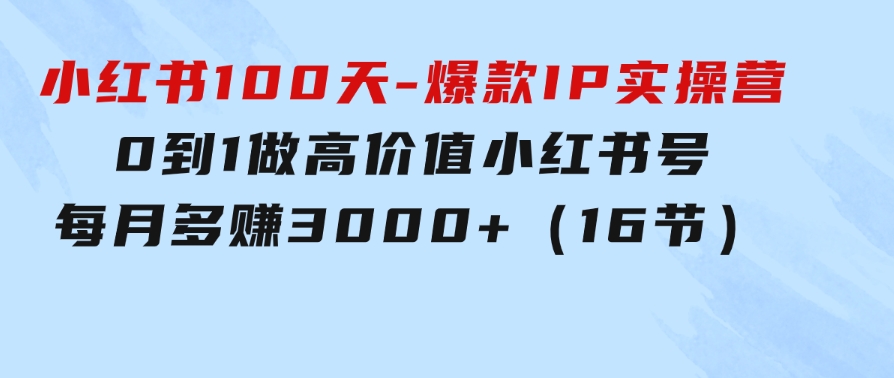 小红书100天-爆款IP实操营，0到1做高价值小红书号每月多赚3000+（16节）-大源资源网