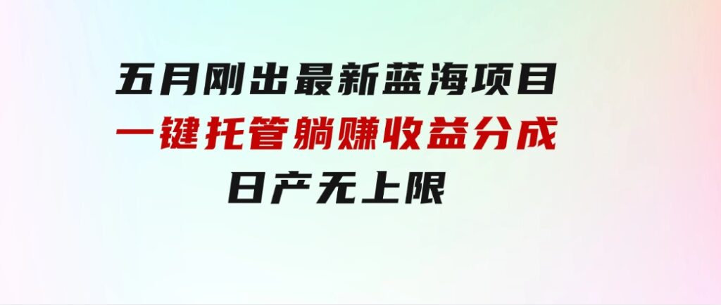 五月刚出最新蓝海项目一键托管躺赚收益分成日产无上限-大源资源网