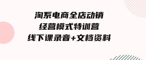 淘系电商全店动销经营模式特训营，线下课录音+文档资料-大源资源网