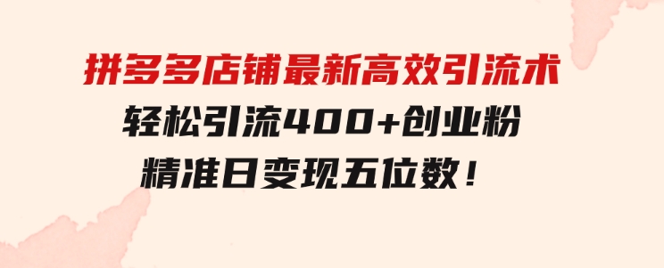 拼多多店铺最新高效引流术，轻松引流400+创业粉，精准日变现五位数！-大源资源网