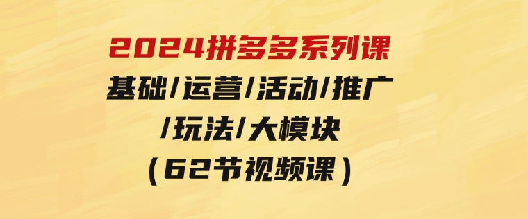 2024拼多多系列课：基础/运营/活动/推广/玩法/大模块（62节视频课）-大源资源网