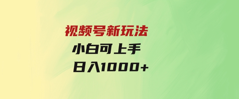 视频号新玩法小白可上手日入1000+-大源资源网