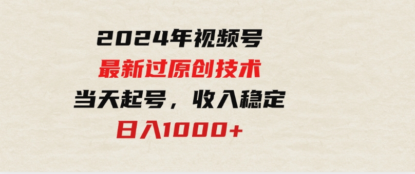 （9565期）2024年视频号最新过原创技术，当天起号，收入稳定，日入1000+-大源资源网