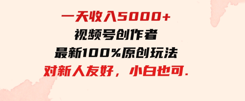 （9568期）一天收入5000+，视频号创作者，最新100%原创玩法，对新人友好，小白也可.-大源资源网