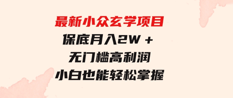 最新小众玄学项目，保底月入2W＋无门槛高利润，小白也能轻松掌握-大源资源网