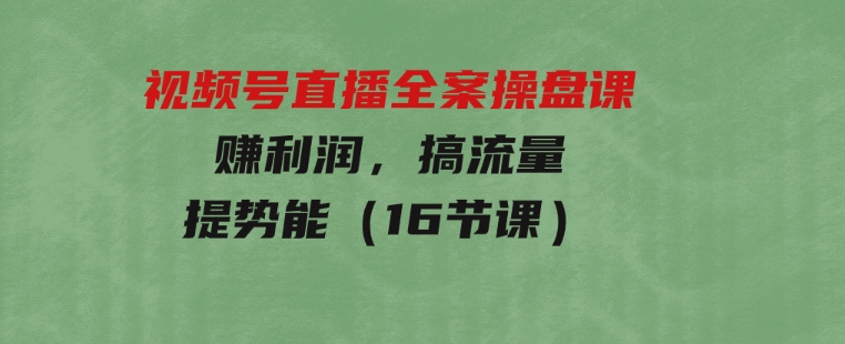 视频号直播全案操盘课，赚利润，搞流量，提势能（16节课）-大源资源网