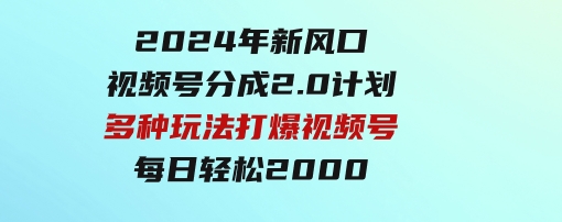 2024年新风口，视频号分成2.0计划，多种玩法打爆视频号，每日轻松2000-大源资源网