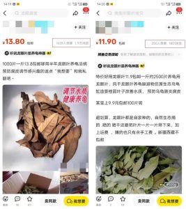 0成本靠卖树叶赚钱，1单20块，单日300+-大源资源网