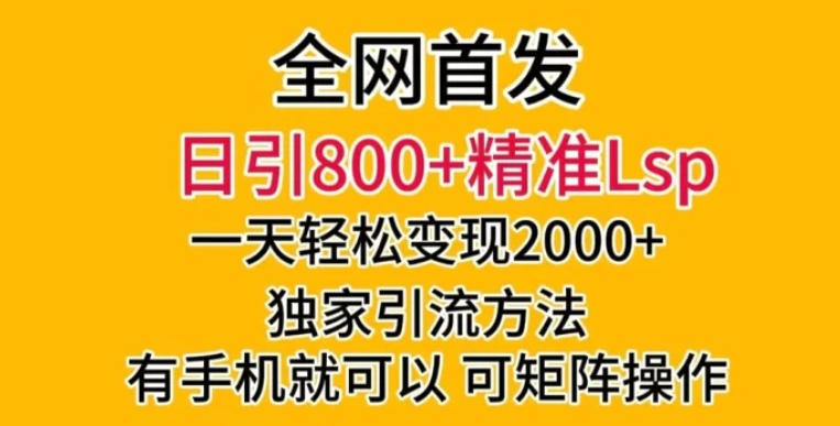 全网首发！日引800+精准老色批，一天变现2000+，独家引流方法，可矩阵操作【揭秘】-大源资源网