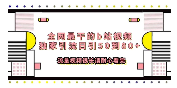 全网最干的b站视频独家引流日引50到80+流量视频很长请耐心看完-大源资源网