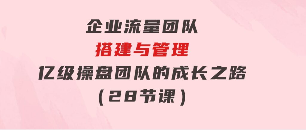 企业流量团队-搭建与管理，亿级操盘团队的成长之路（28节课）-大源资源网