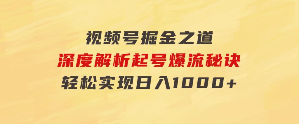 红利无限！视频号掘金之道，深度解析起号爆流秘诀，轻松实现日入1000+！-大源资源网