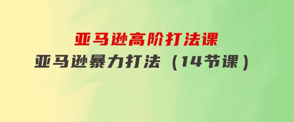 亚马逊高阶打法课，亚马逊暴力打法（14节课）-大源资源网