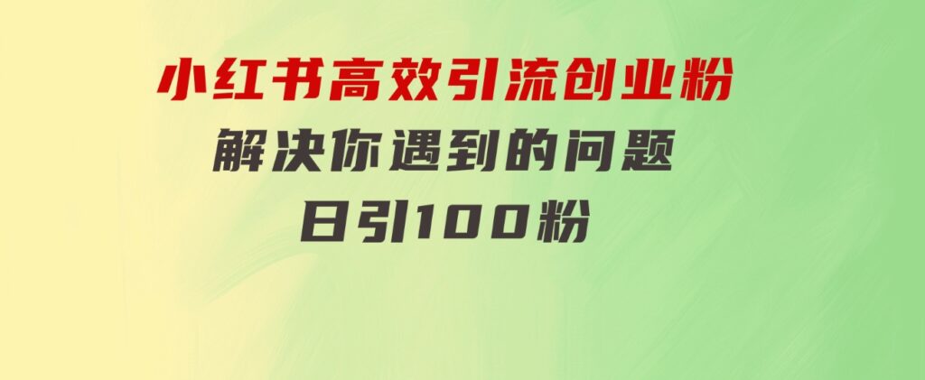 小红书高效引流创业粉，解决你遇到的问题，日引100粉-大源资源网