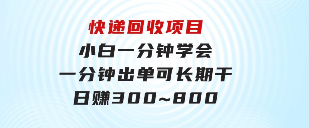 快递回收项目，小白一分钟学会，一分钟出单，可长期干，日赚300~800-大源资源网