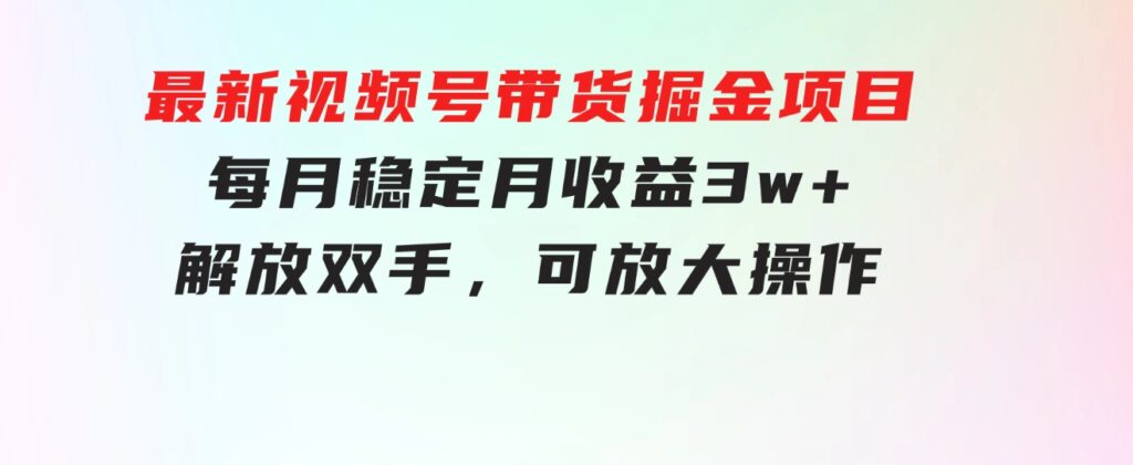 最新视频号带货掘金项目，每月稳定月收益3w+，解放双手，可放大操作-大源资源网