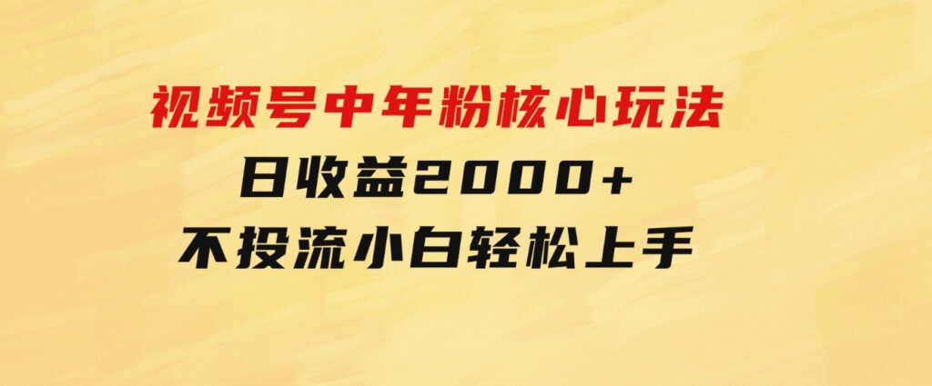 视频号中年粉核心玩法日收益2000+不投流小白轻松上手-大源资源网