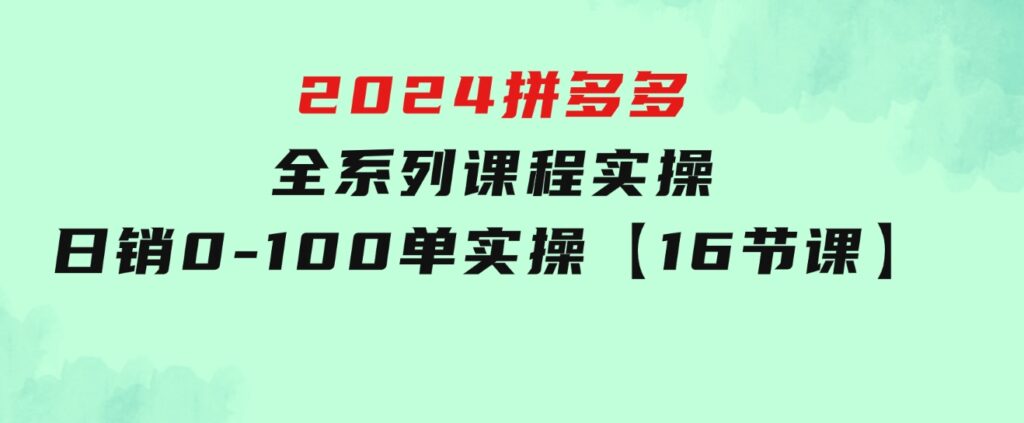 2024拼多多全系列课程实操，日销0-100单实操【16节课】-大源资源网