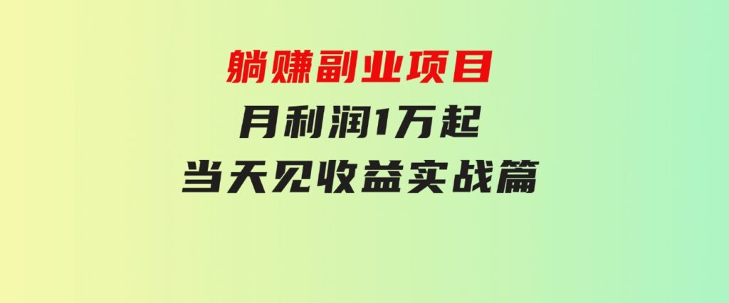 躺赚副业项目，月利润1万起，当天见收益，实战篇-大源资源网