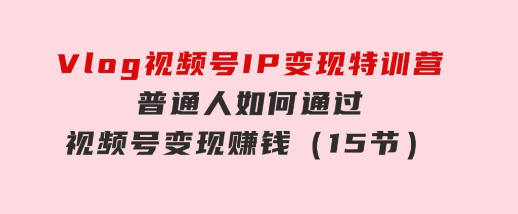 Vlog视频号IP变现特训营，普通人如何通过视频号变现赚钱（15节）-大源资源网