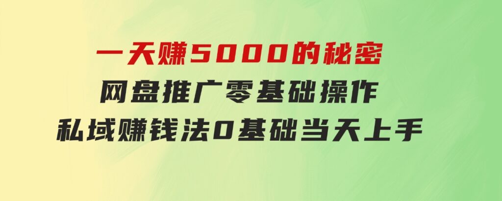 一天赚5000的秘密，网盘推广零基础操作，私域赚钱法，0基础当天上手-大源资源网