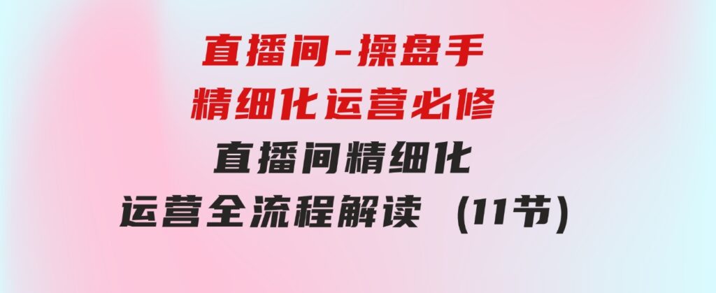 直播间-操盘手精细化运营必修，直播间精细化运营全流程解读(11节)-大源资源网