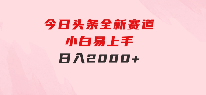 今日头条，全新赛道，小白易上手，日入2000+-大源资源网