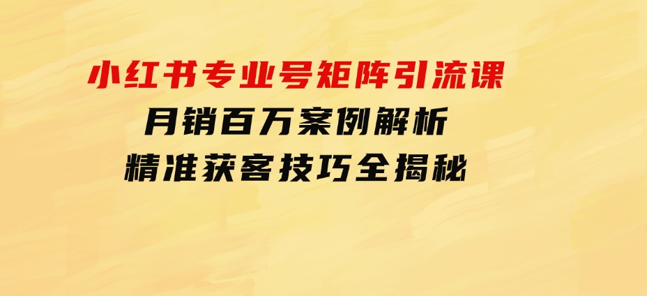 小红书专业号矩阵引流课，月销百万案例解析，精准获客技巧全揭秘-大源资源网