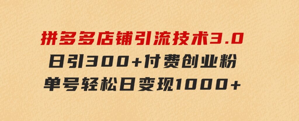 拼多多店铺引流技术3.0，日引300+付费创业粉，单号轻松日变现1000+-大源资源网