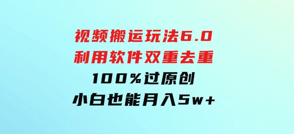 视频搬运玩法6.0，利用软件双重去重，100%过原创，小白也能月入5w+-大源资源网