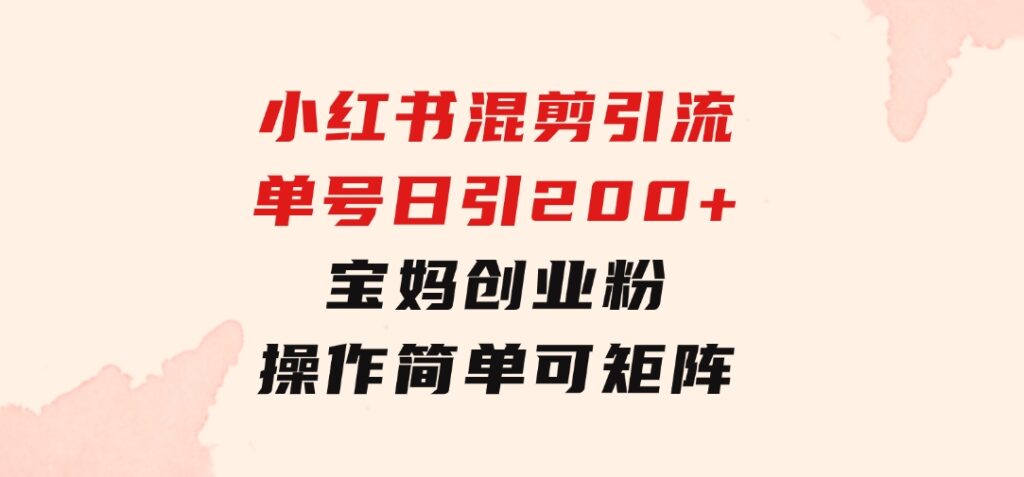 小红书混剪引流，单号日引200+宝妈创业粉，操作简单可矩阵-大源资源网