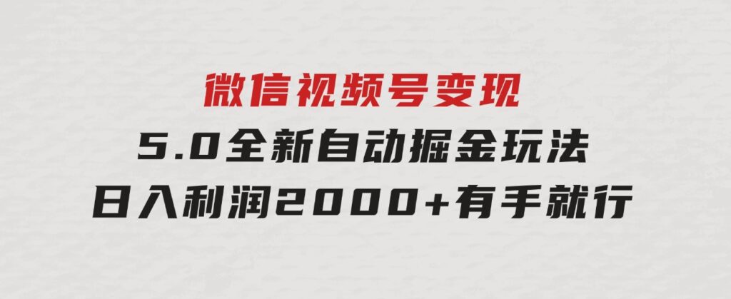 微信视频号变现，5.0全新自动掘金玩法，日入利润2000+有手就行-大源资源网