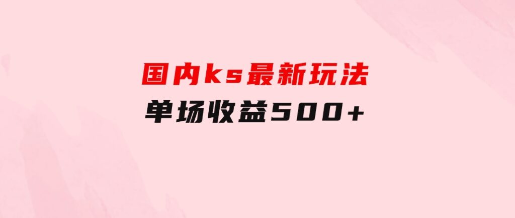 国内ks最新玩法单场收益500+-大源资源网