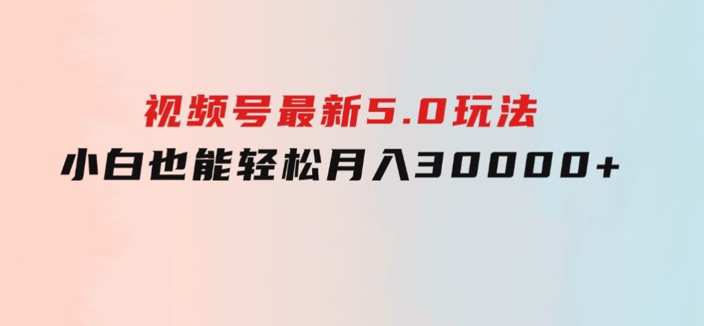 视频号最新5.0玩法，小白也能轻松月入30000+-大源资源网