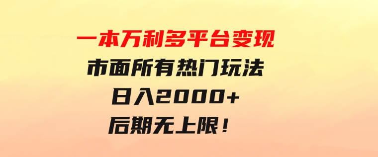 一本万利多平台变现，市面所有热门玩法，日入2000+，后期无上限！-大源资源网