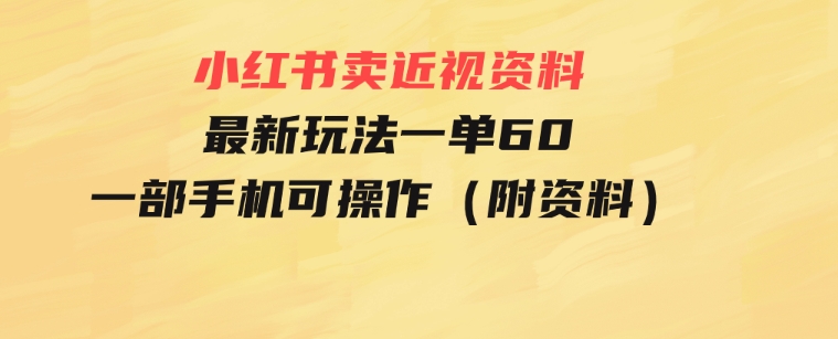 小红书卖近视资料最新玩法，一单60月入过万，一部手机可操作（附资料）-大源资源网