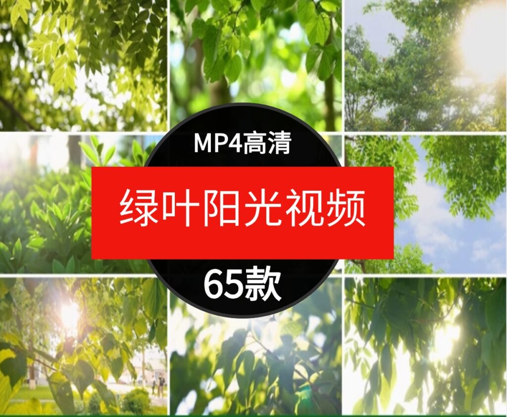 绿色小清新阳光穿透树叶自然美景森林治愈情感背景短片4K视频素材-大源资源网