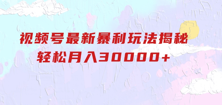 视频号最新暴利玩法揭秘，轻松月入30000+-大源资源网