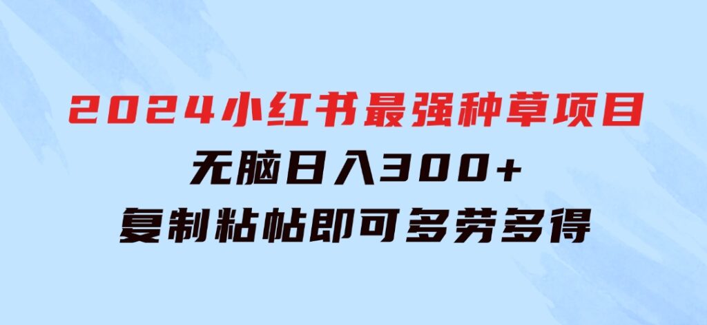 2024小红书最强种草项目，无脑日入300+，复制粘帖即可，多劳多得-大源资源网