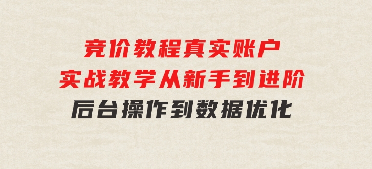 竞价教程：真实账户实战教学从新手到进阶·后台操作到数据优化-大源资源网