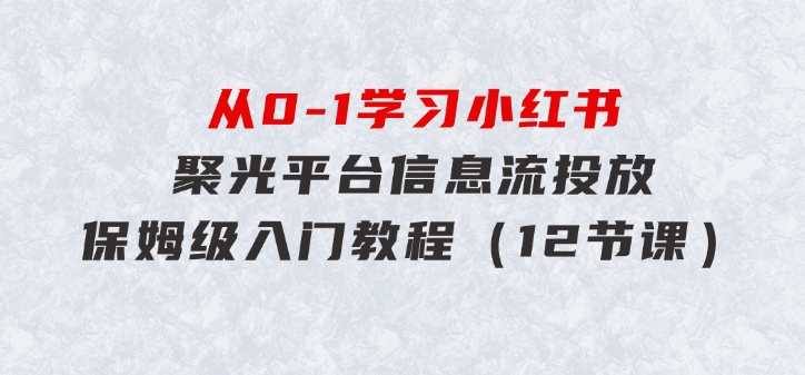 从0-1学习小红书聚光平台信息流投放，保姆级入门教程（12节课）-大源资源网