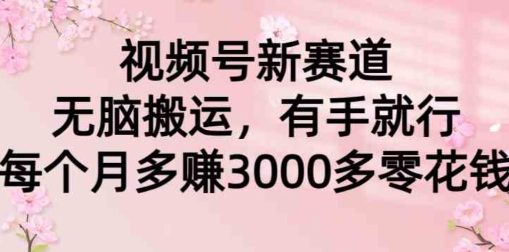 （9278期）视频号新赛道，无脑搬运，有手就行，每个月多赚3000多零花钱-大源资源网