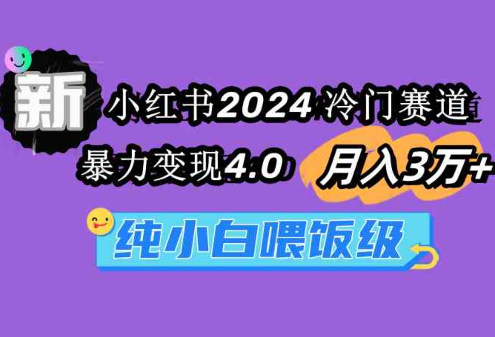 （9134期）小红书2024冷门赛道月入3万+暴力变现4.0纯小白喂饭级-大源资源网