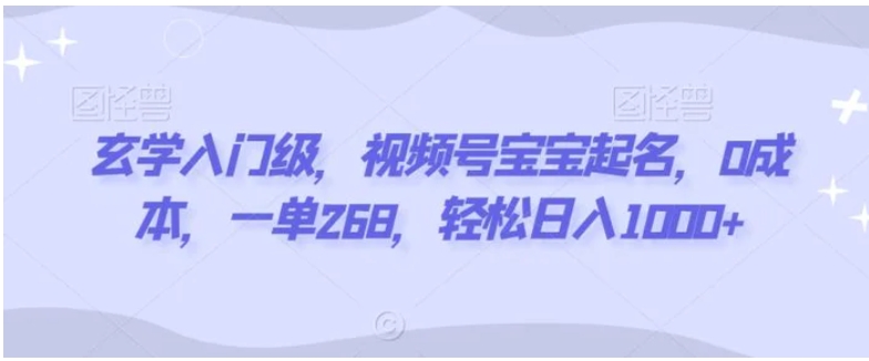 玄学入门级，视频号宝宝起名，0成本，一单268，轻松日入1000+-大源资源网