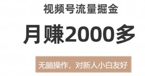 视频号流量掘金，月赚2000多，无脑操作，对新人小白友好-大源资源网